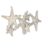 Décor mural | Starfish