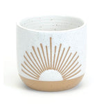 Sunburst planter/Glossy white