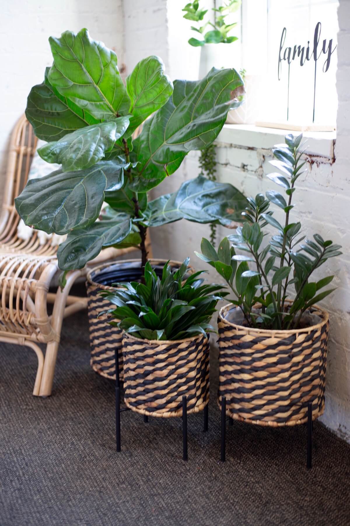 Lined planter on stand