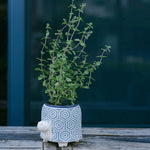 Cache-pot tortue (CNP-372)