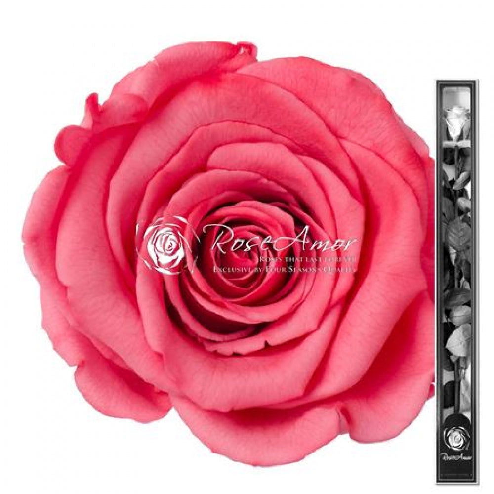 Rose éternelle sur tige avec feuillage - 70 cm