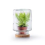 Terrarium Eco Pods