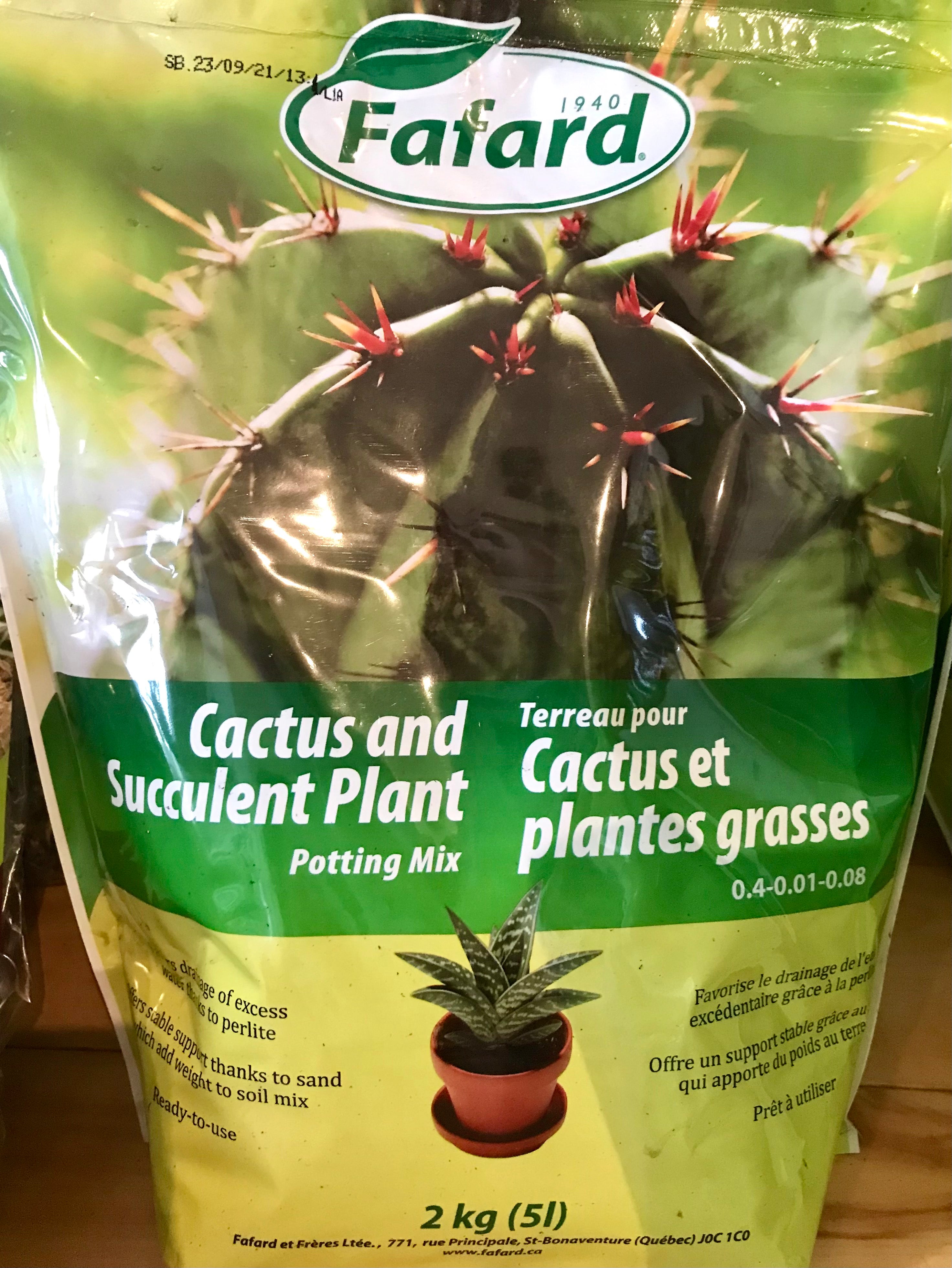 Terreau cactus et plantes grasses Fafard