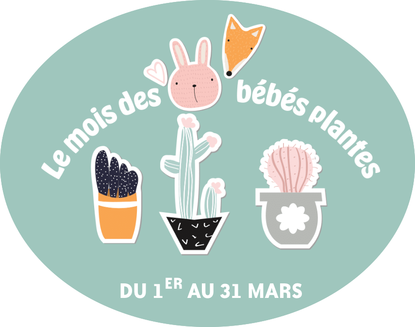 Le mois des bébés plantes