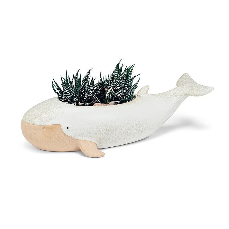 cache-pot baleine