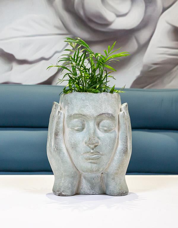 cache-pot visage
