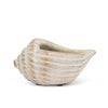 cache-pot coquillage