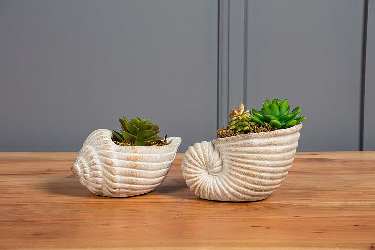 Cache-pot SHELL-005 | Coquillage