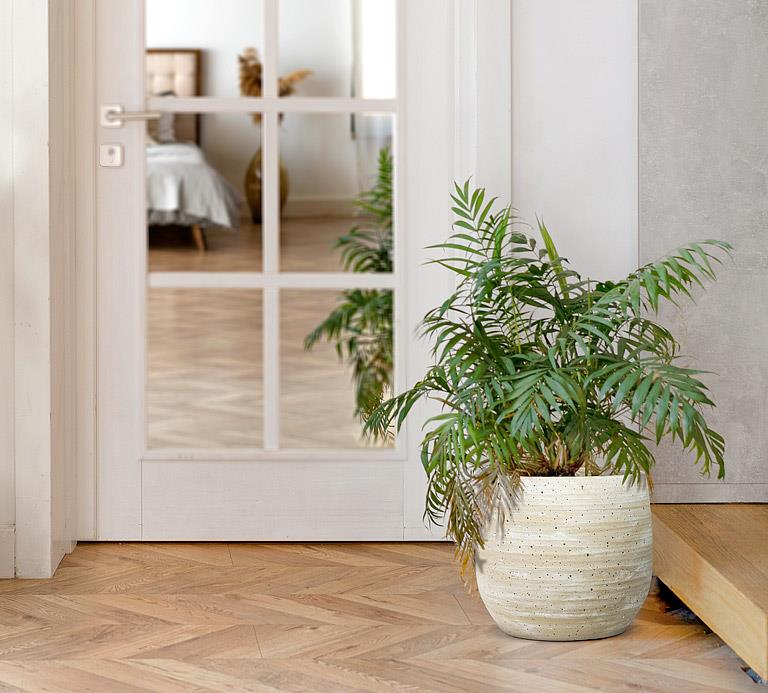 Cache-pot | Terrain-623