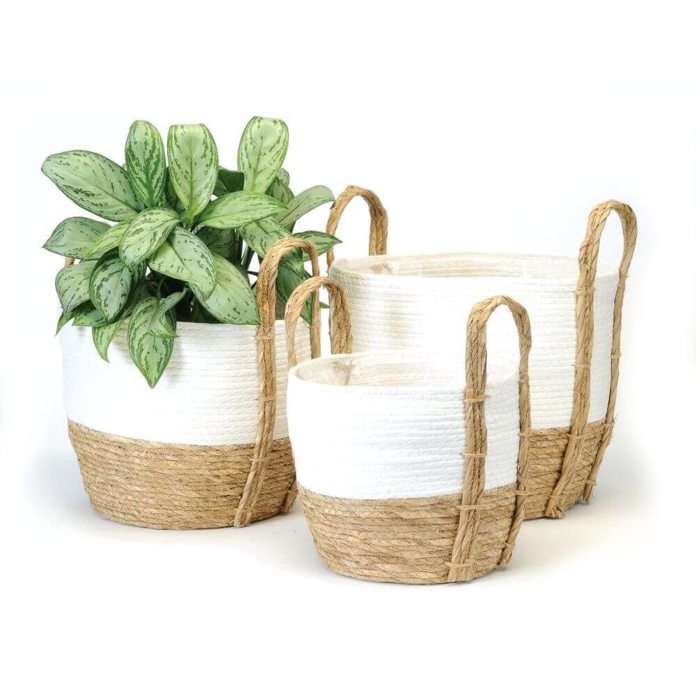 Grass basket with plastic liner (286)