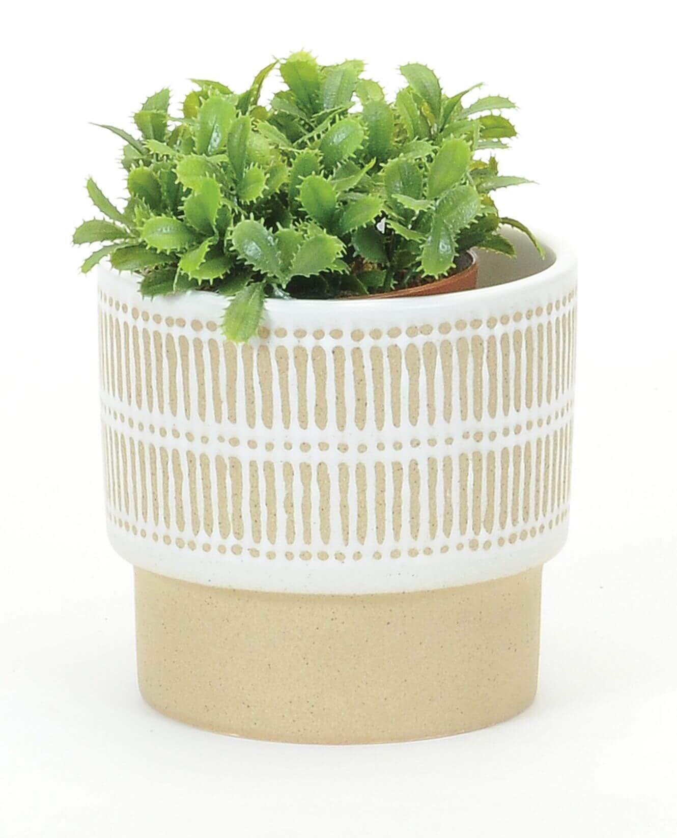 Decor plant pot