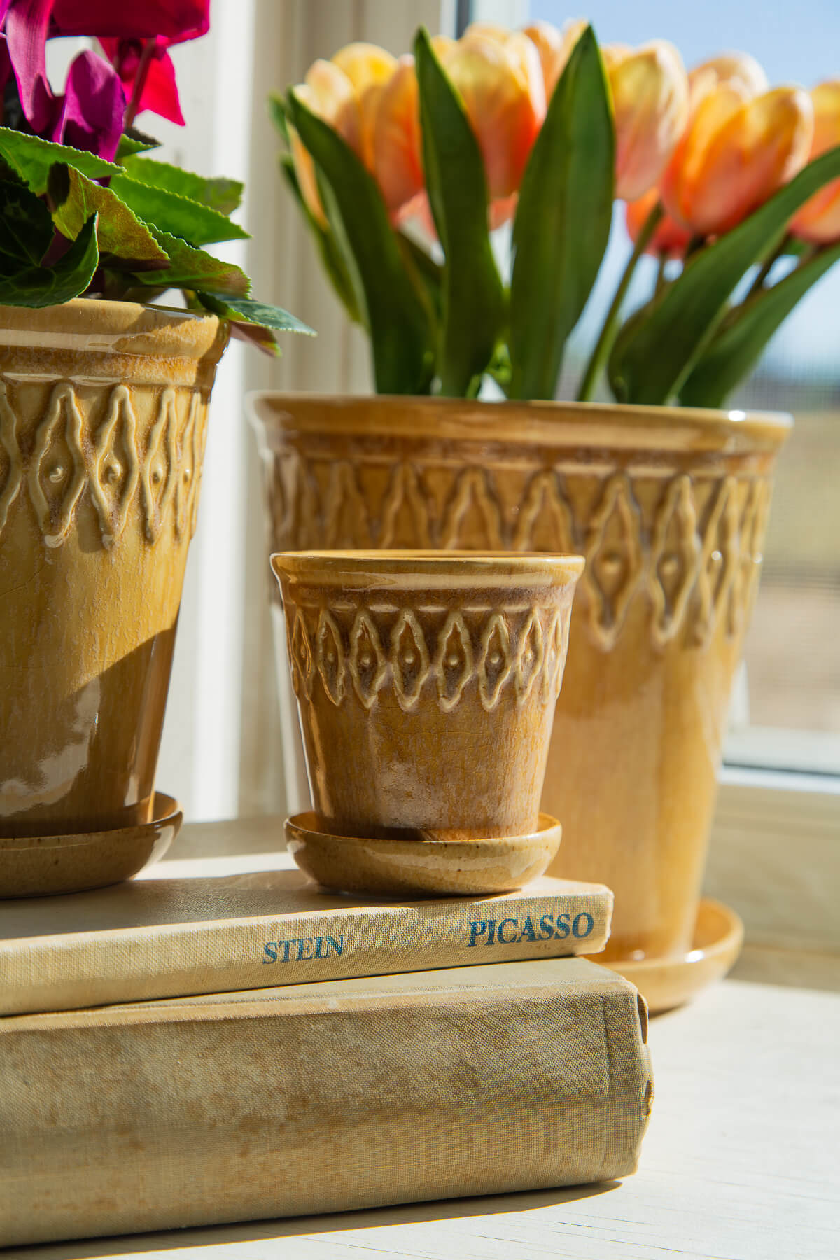 Pot en céramique avec drainage et soucoupe
