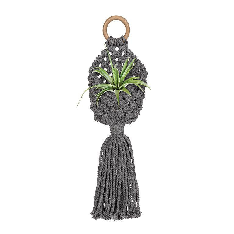 Ashbury Macrame Tillandsia Planter