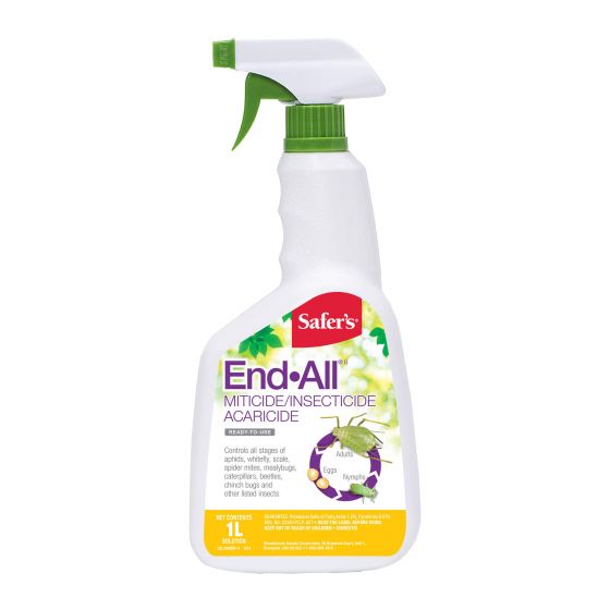 Safer's End-All Miticide/Insecticide