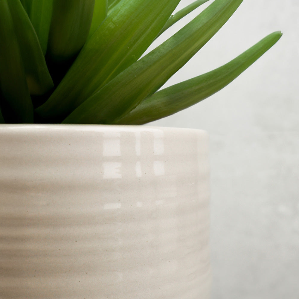 cache-pot céramique taupe