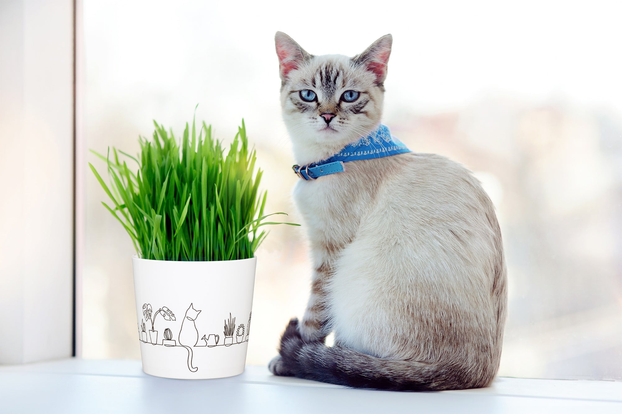 Catview Planter