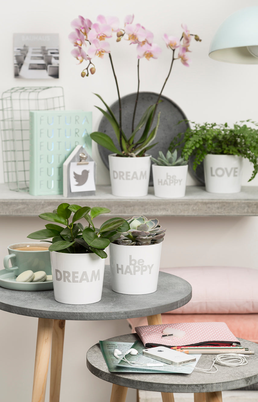 Message planter