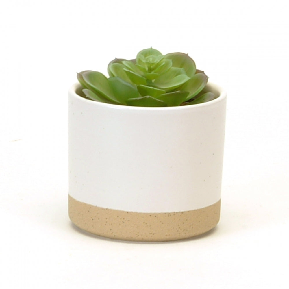 Cylindrical flowerpot with speckling