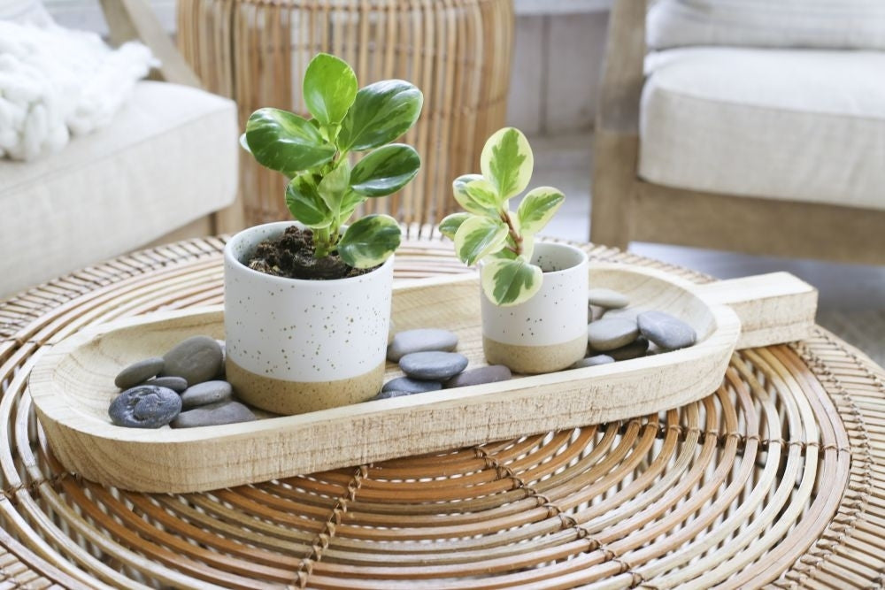 Cylindrical flowerpot with speckling