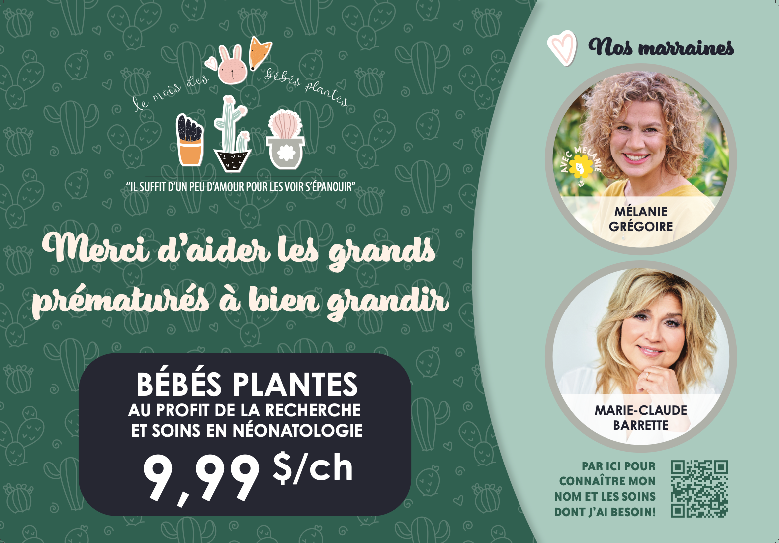 Bébés plantes en pot de 3.5”