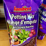 Terreau pour plantes d'intérieur Lambert