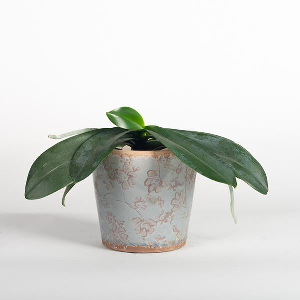 Glazed ceramic planter