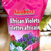 Soil for African Violets Lambert