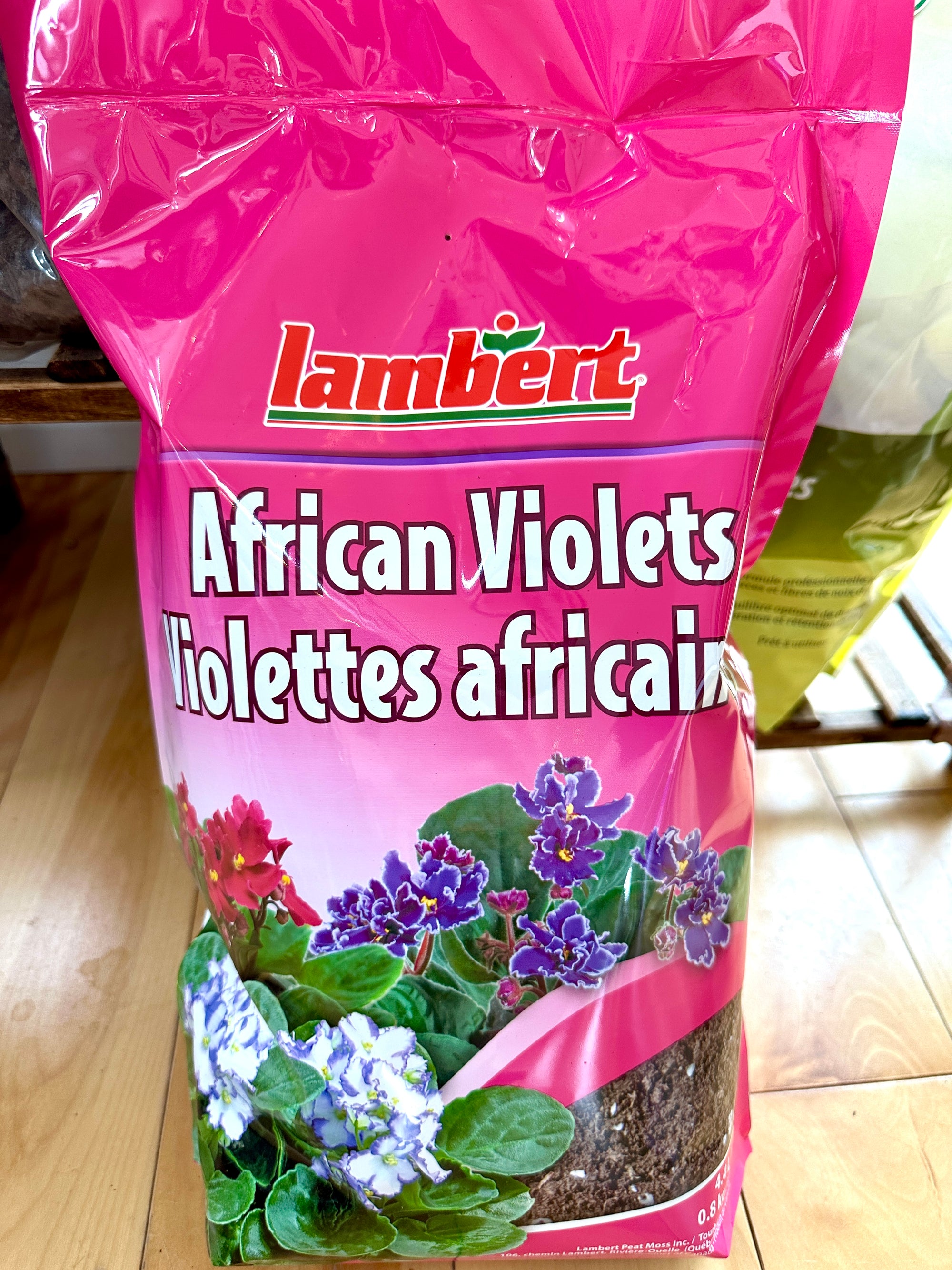 Soil for African Violets Lambert