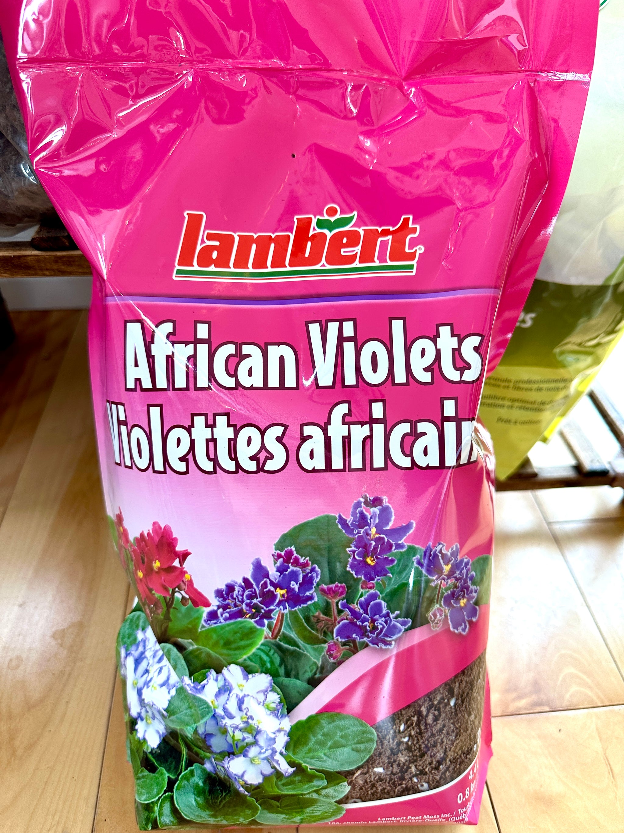 Terreau pour Violettes africaines Lambert