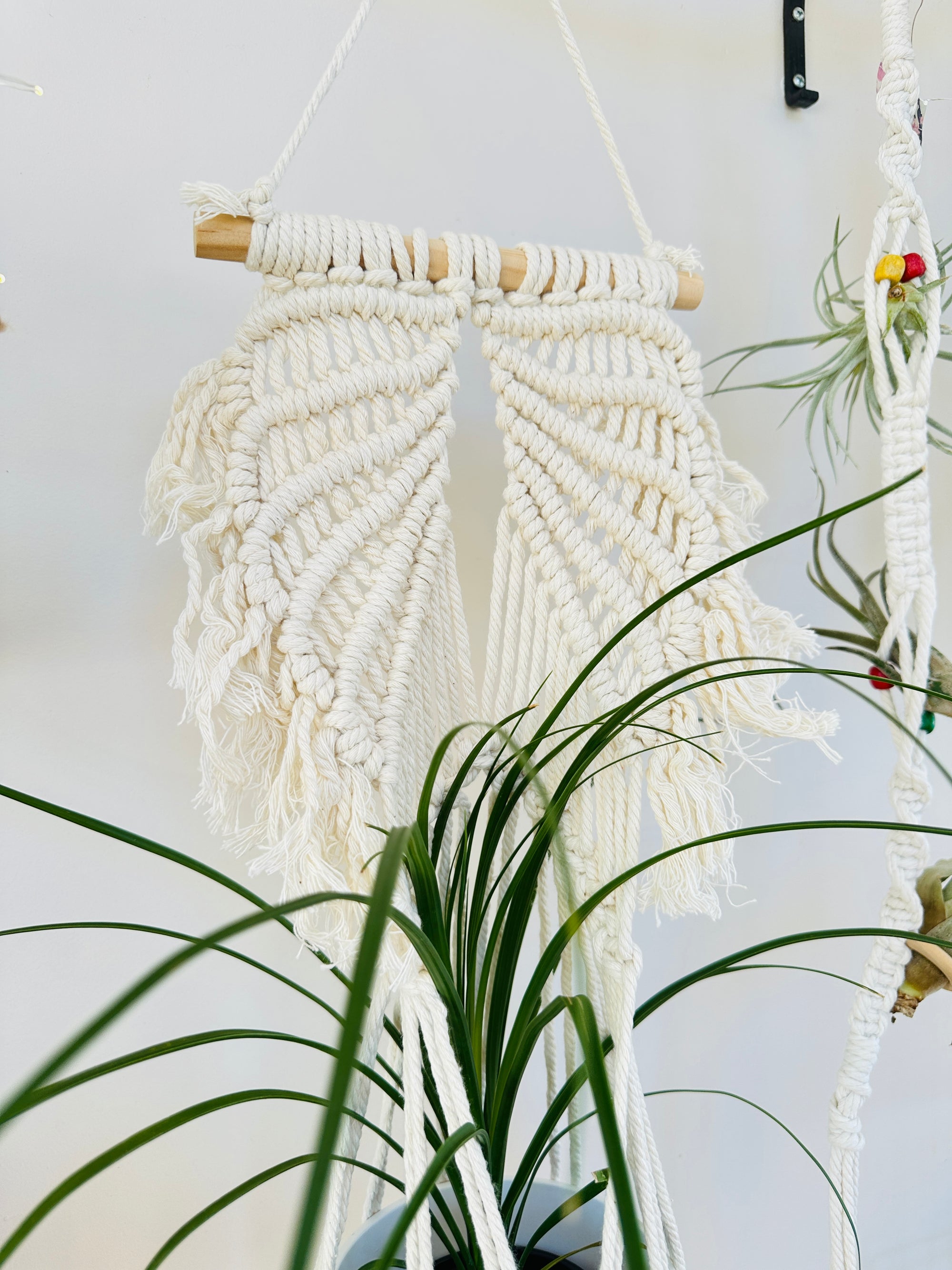 Jardinière Macramé Vintage Boho