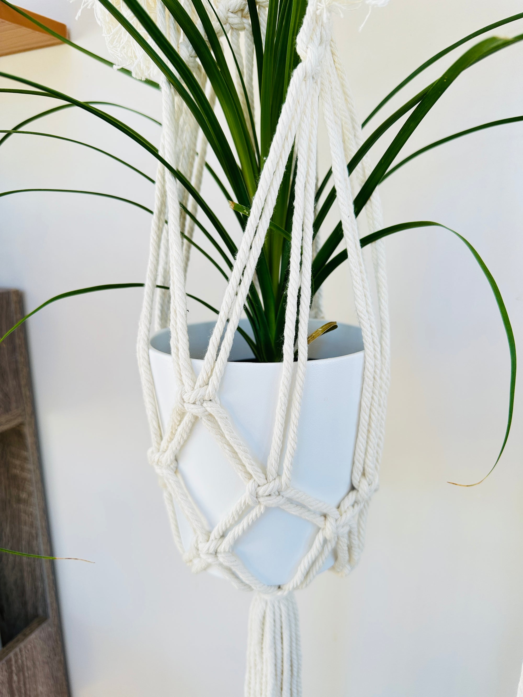 Jardinière Macramé Vintage Boho