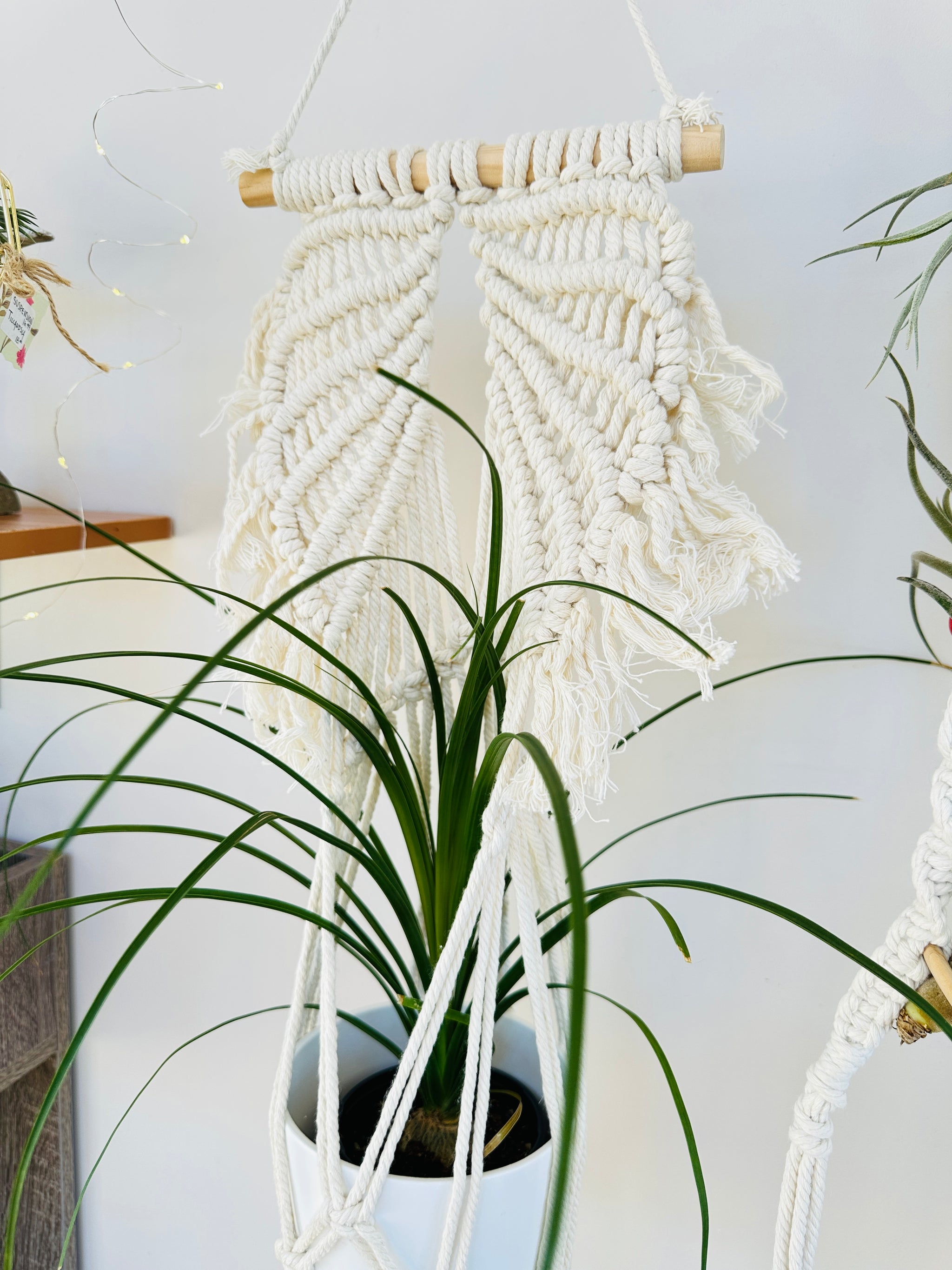 Jardinière Macramé Vintage Boho