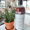 SucculentRx Specialty Fertilizer