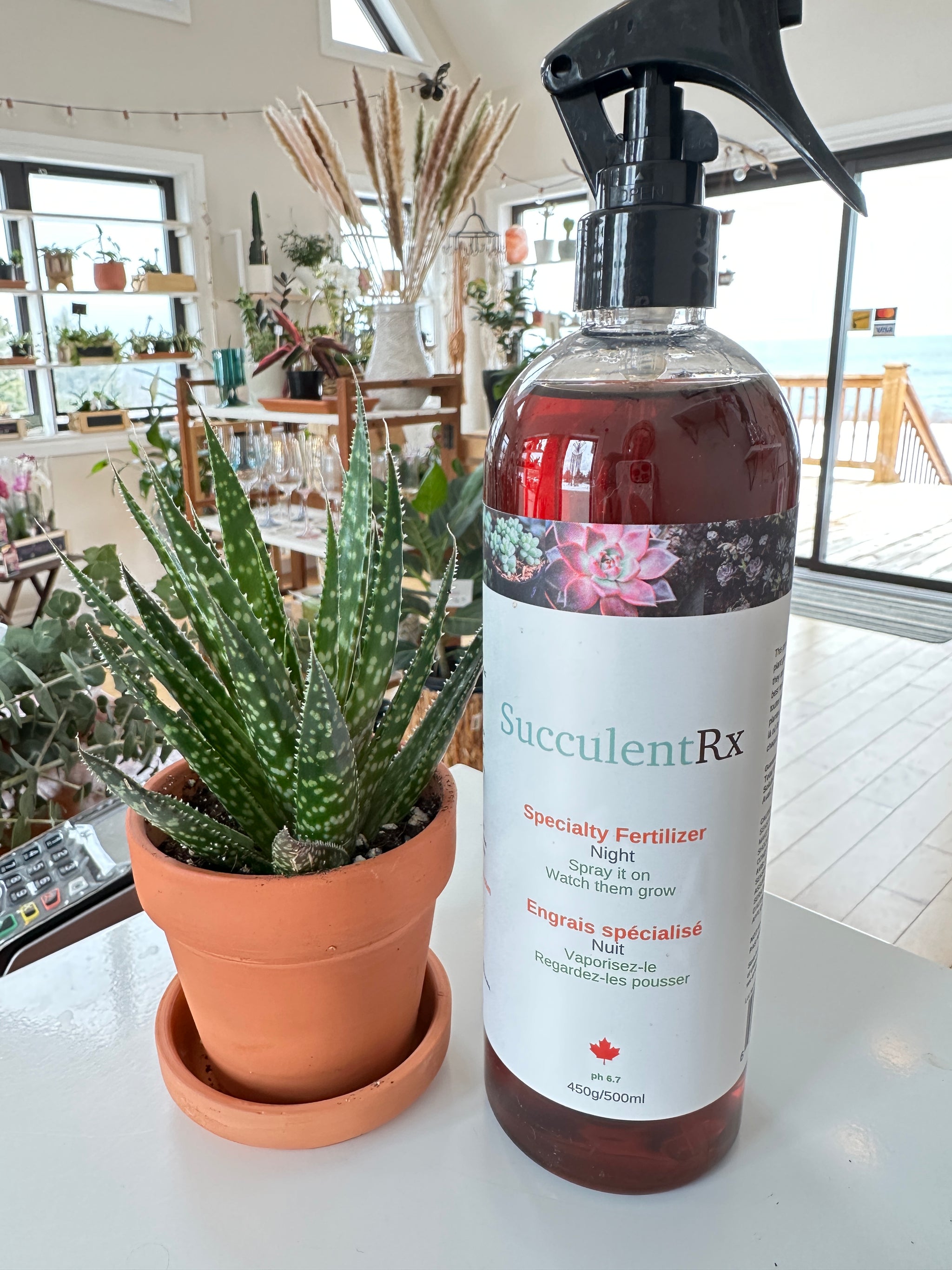 SucculentRx Specialty Fertilizer