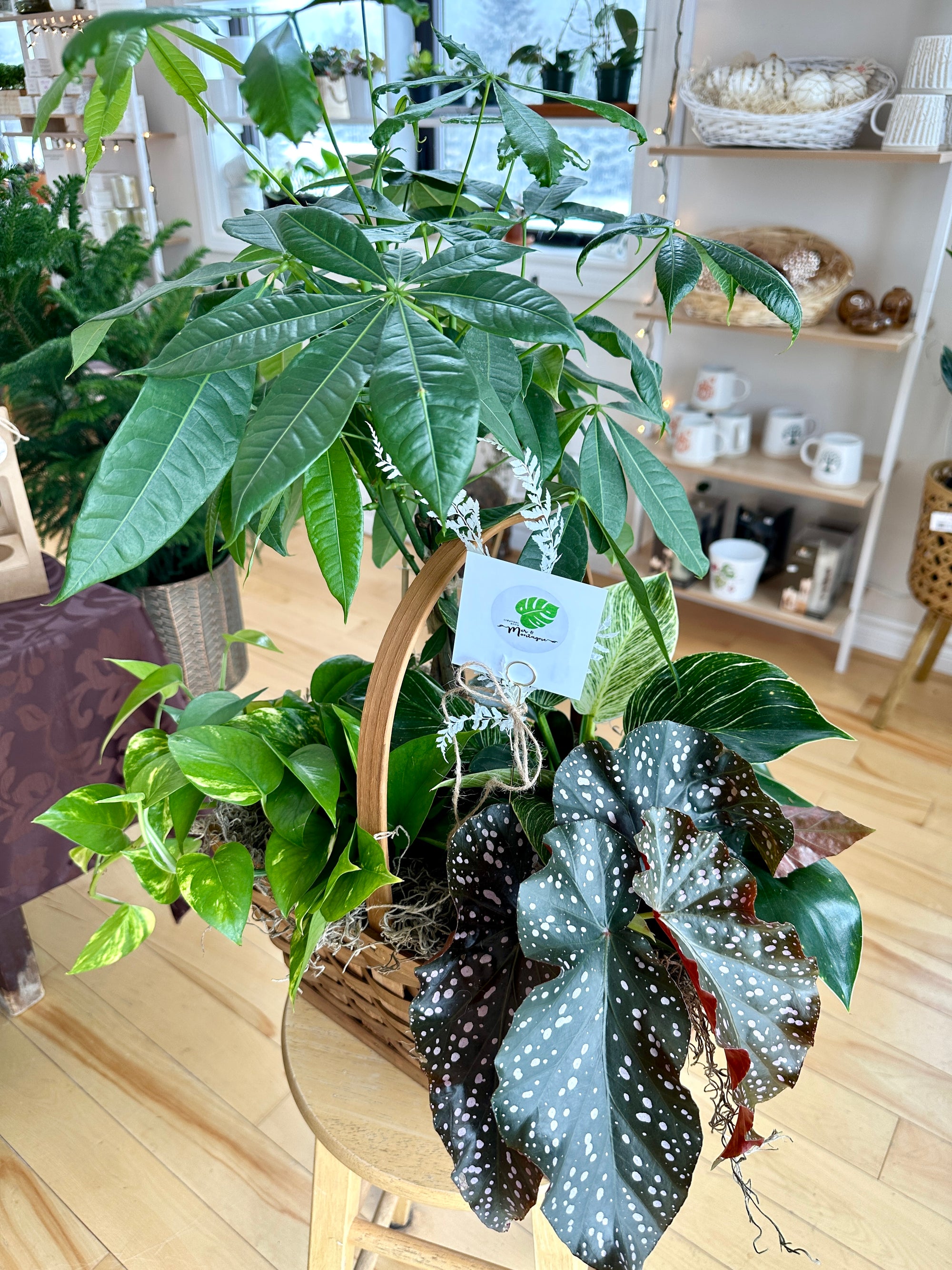 Memory Garden