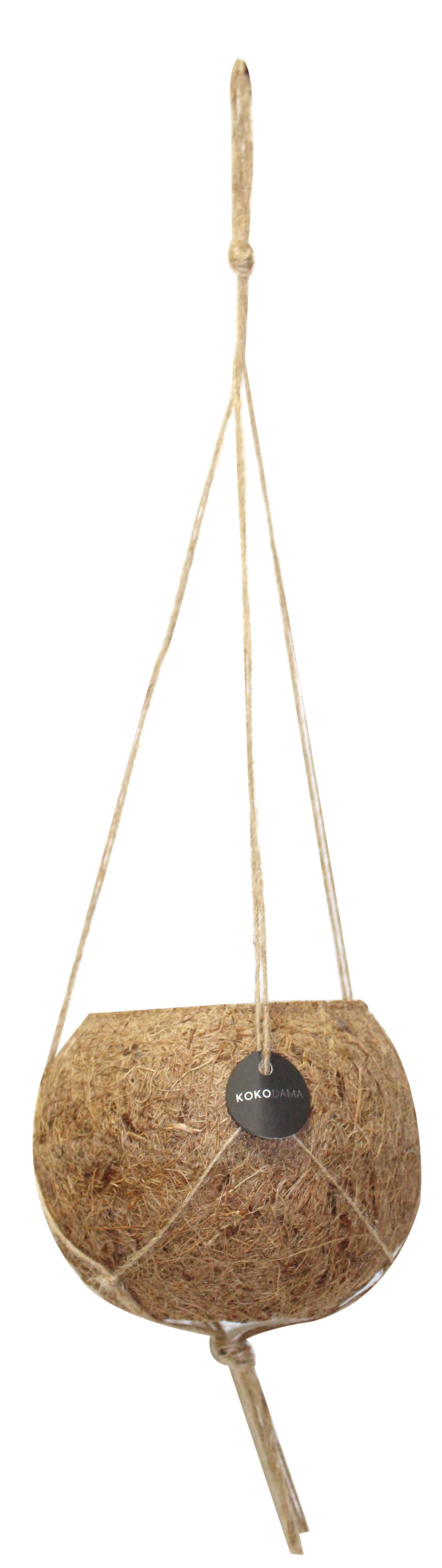 Natural hanging planter | Kokodama