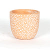 Planter with white dots pattern (2327)