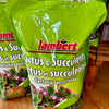 terreau pour cactus et succulentes Lambert