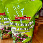 terreau pour cactus et succulentes Lambert