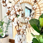 tige de coton naturel