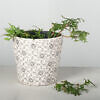 Ceramic planter (ECX-031)