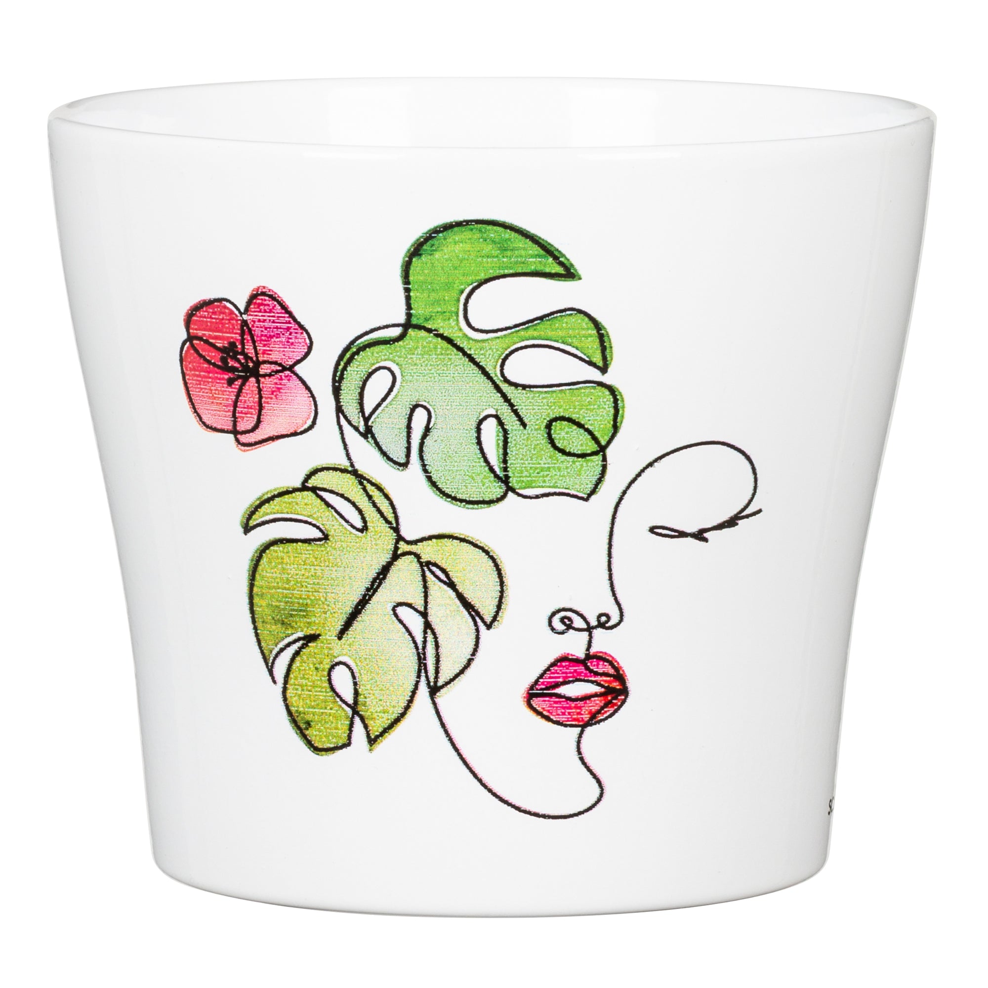 cache pot monstera