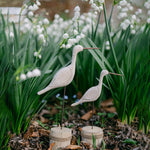 oiseaux marins décoratif