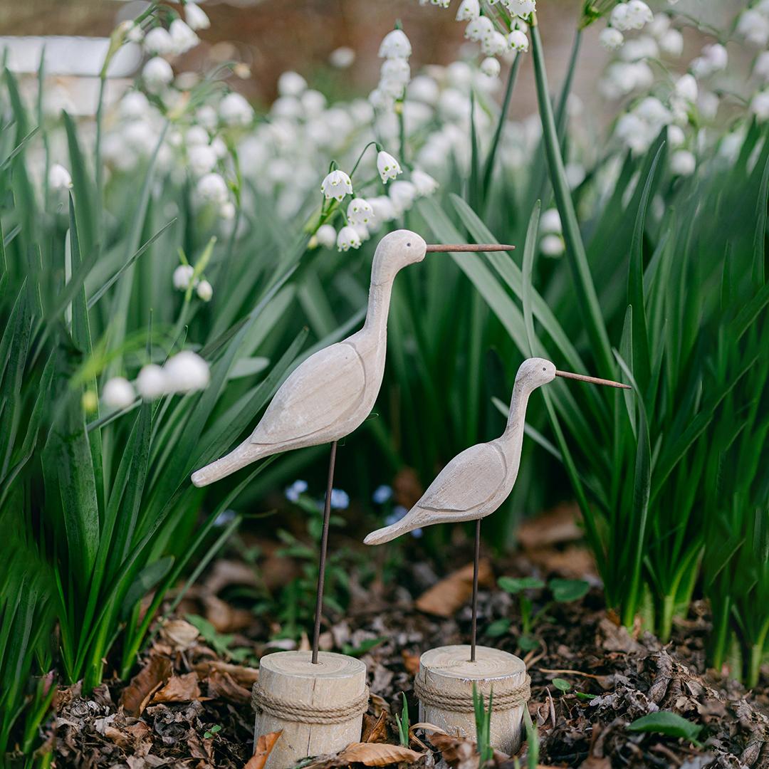 oiseaux marins décoratif