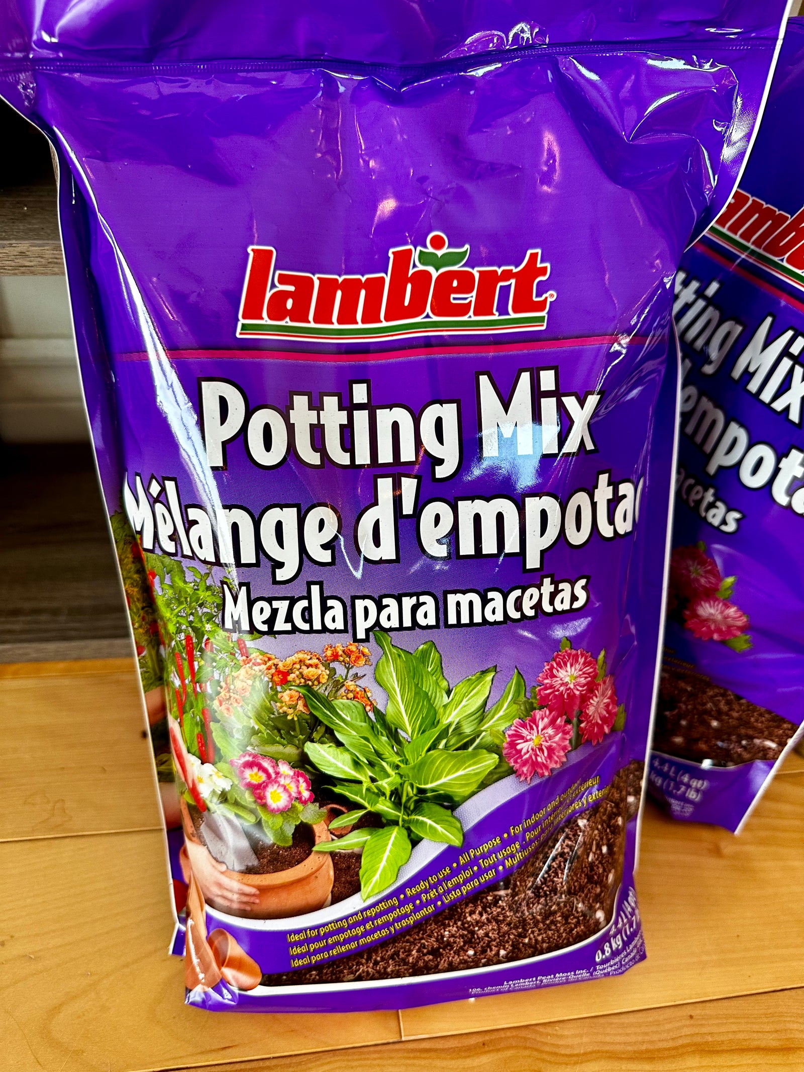 terreau pour plantes tropicales lambert