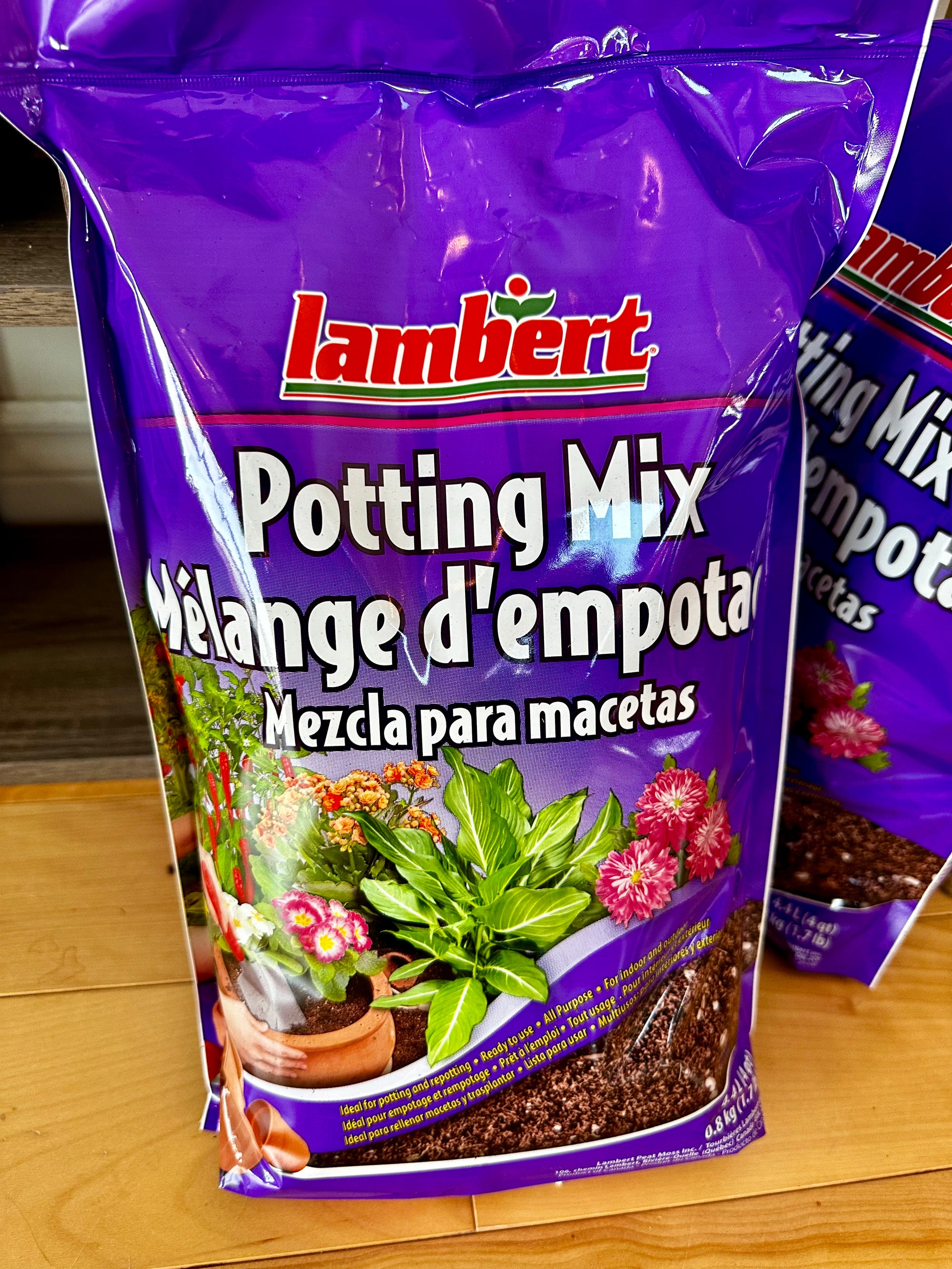 terreau pour plantes tropicales lambert