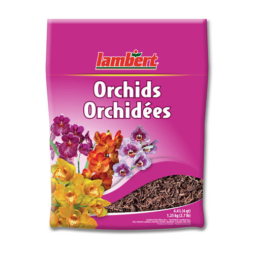 terreau pour orchidées Lambert