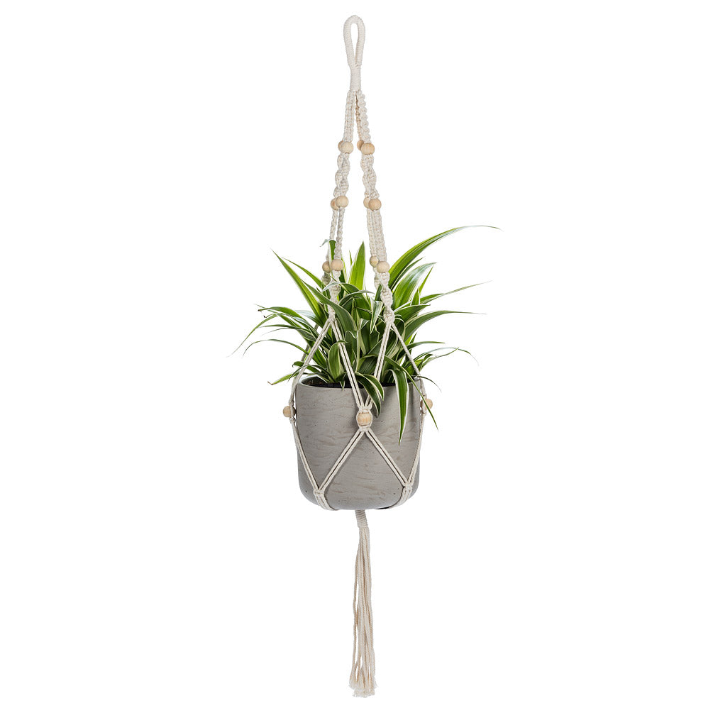 Macrame planter-903