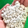 Perlite